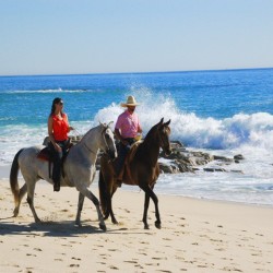 horseback riding horseback riding nicaragua