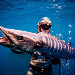 spearfishing spearfishing nicaragua